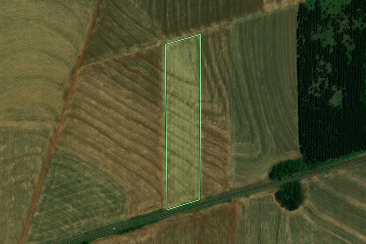 Imagem de satélite do imóvel rural em Palotina (PR), com o contorno declarado no CAR desenhado por cima.