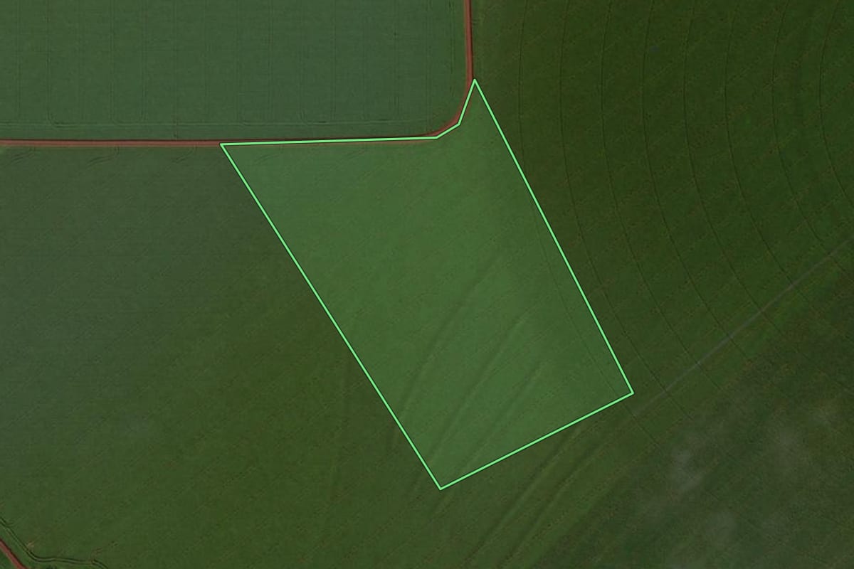 Imagem de satélite do imóvel rural em Palotina (PR), com o contorno declarado no CAR desenhado por cima.