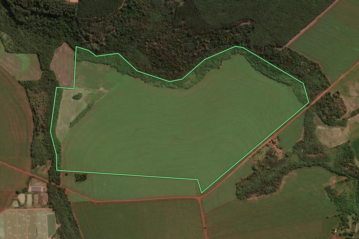 Imagem de satélite do imóvel rural em Palotina (PR), com o contorno declarado no CAR desenhado por cima.