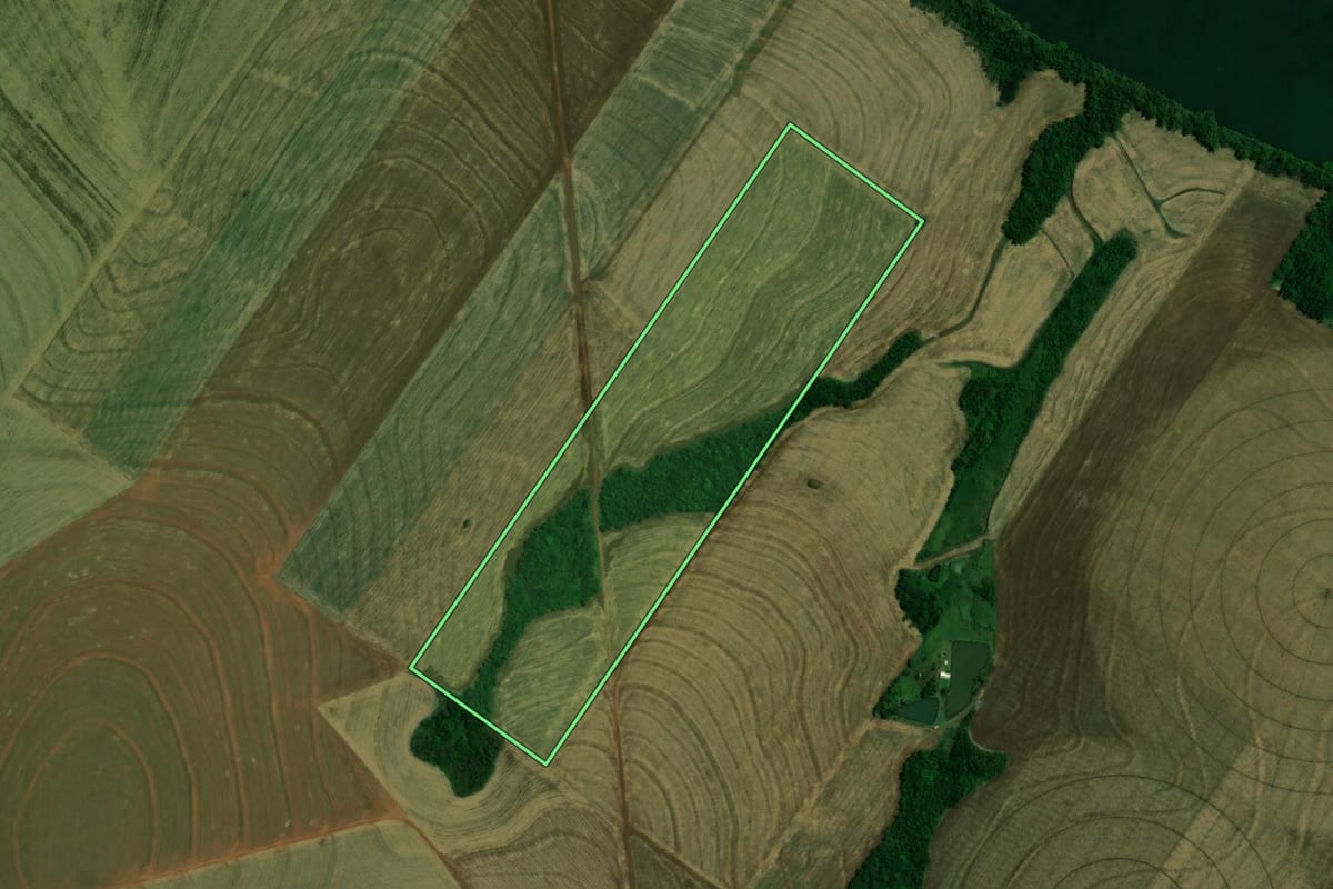 Imagem de satélite do imóvel rural em Palotina (PR), com o contorno declarado no CAR desenhado por cima.