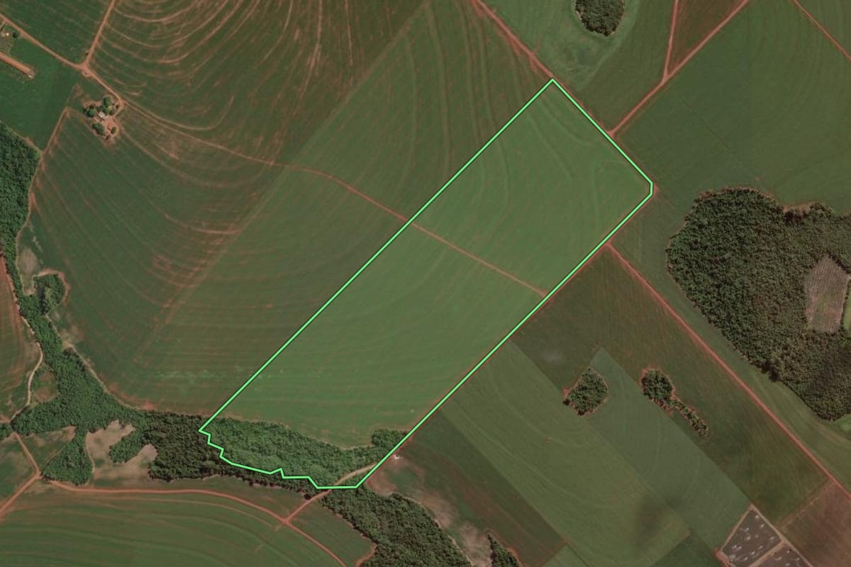 Imagem de satélite do imóvel rural em Palotina (PR), com o contorno declarado no CAR desenhado por cima.