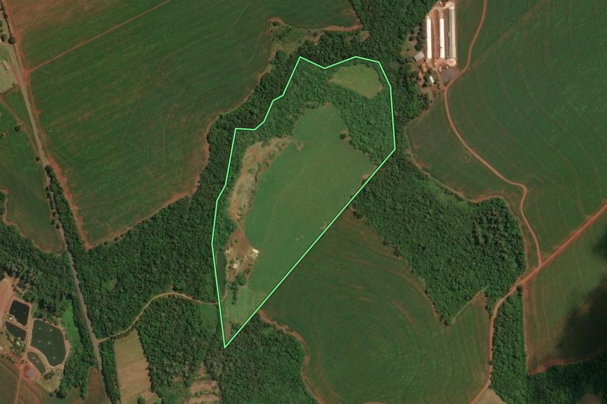 Imagem de satélite do imóvel rural em Palotina (PR), com o contorno declarado no CAR desenhado por cima.
