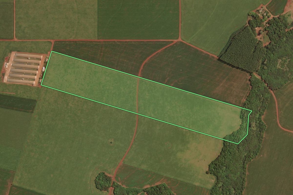 Imagem de satélite do imóvel rural em Palotina (PR), com o contorno declarado no CAR desenhado por cima.