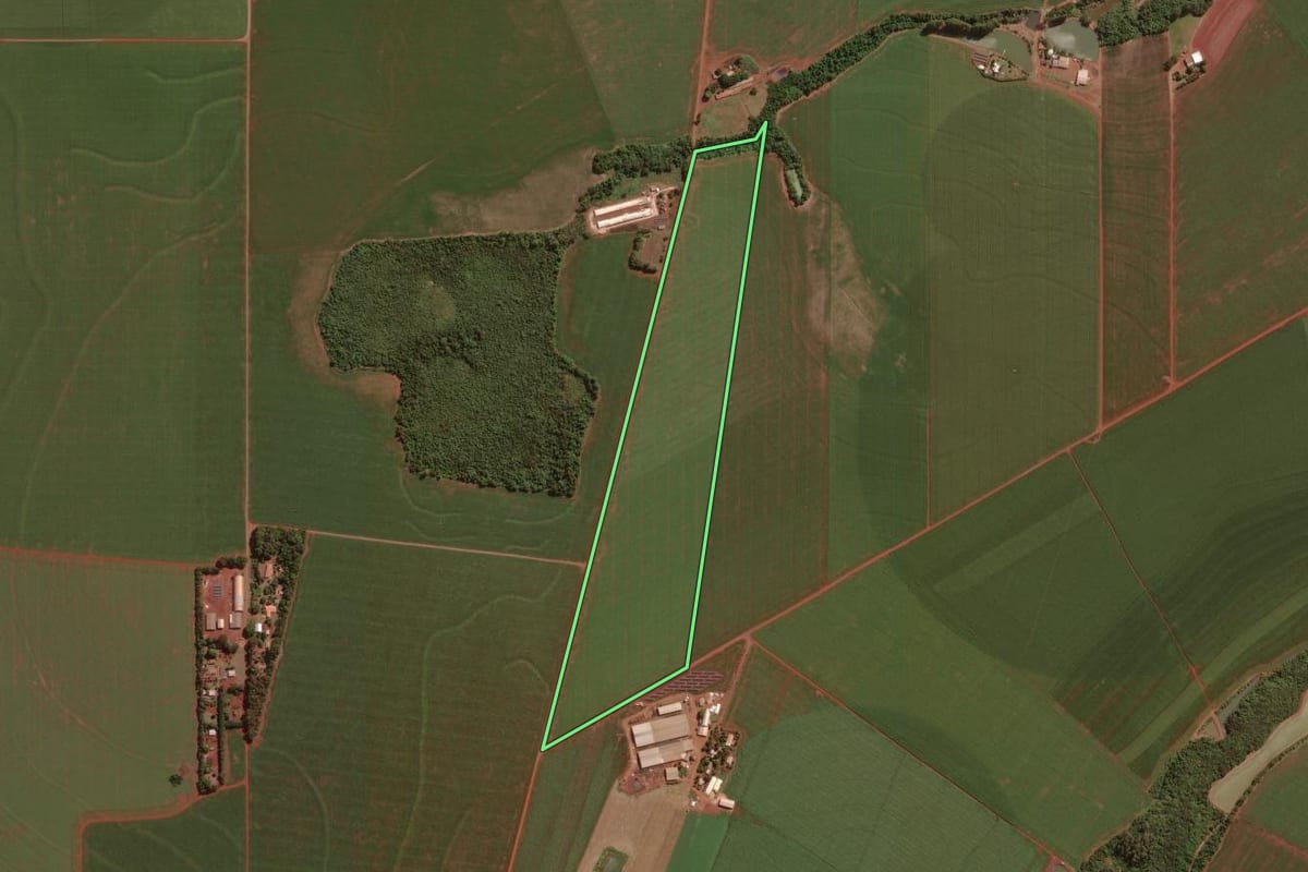 Imagem de satélite do imóvel rural em Palotina (PR), com o contorno declarado no CAR desenhado por cima.