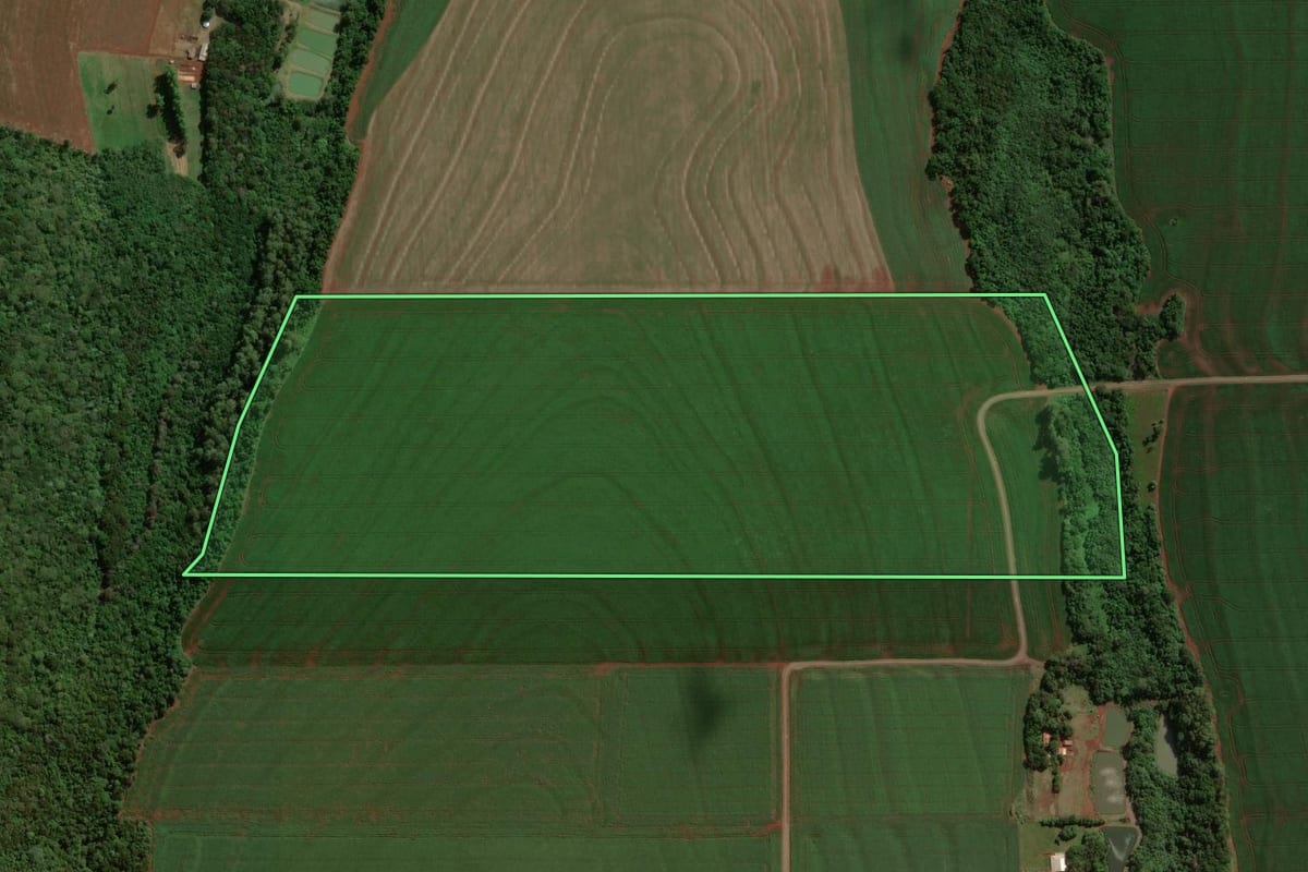 Imagem de satélite do imóvel rural em Palotina (PR), com o contorno declarado no CAR desenhado por cima.