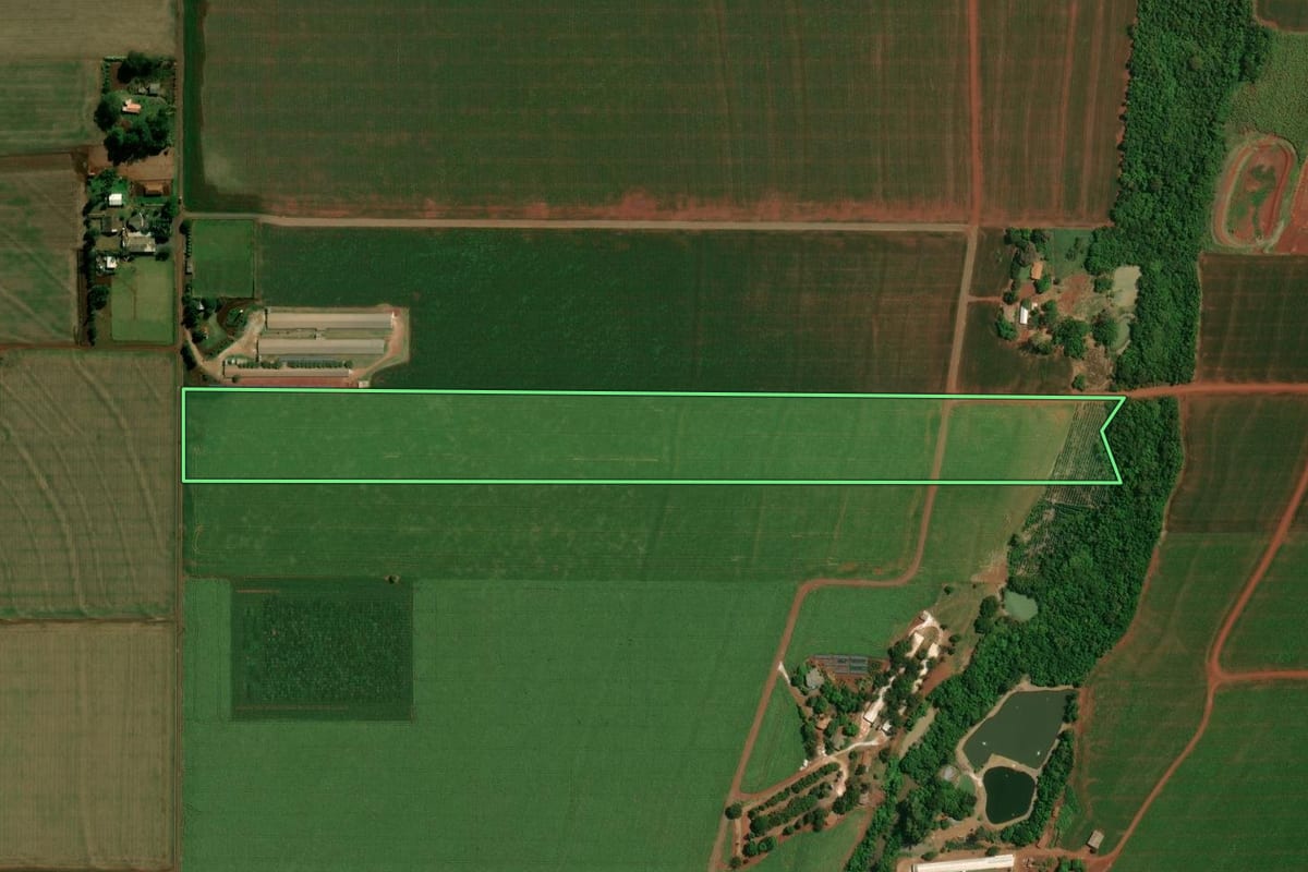 Imagem de satélite do imóvel rural em Palotina (PR), com o contorno declarado no CAR desenhado por cima.
