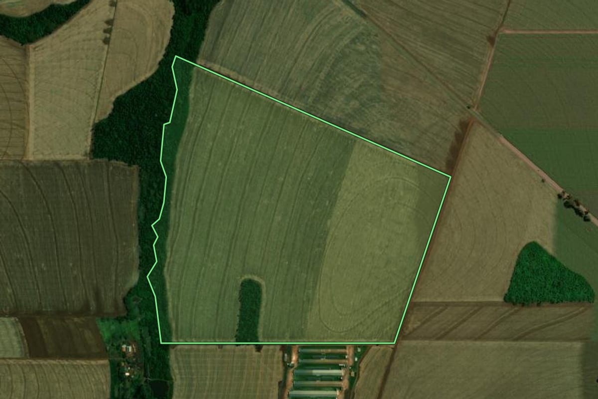 Imagem de satélite do imóvel rural em Palotina (PR), com o contorno declarado no CAR desenhado por cima.