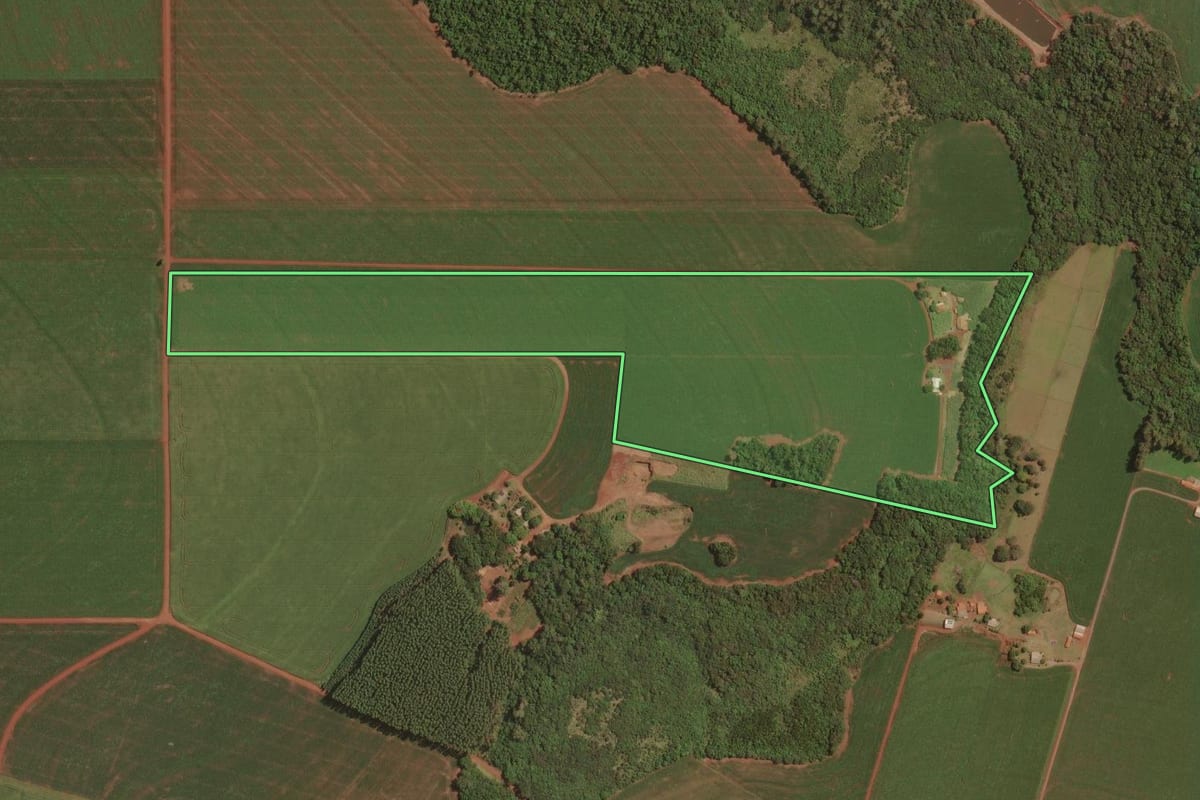 Imagem de satélite do imóvel rural em Palotina (PR), com o contorno declarado no CAR desenhado por cima.