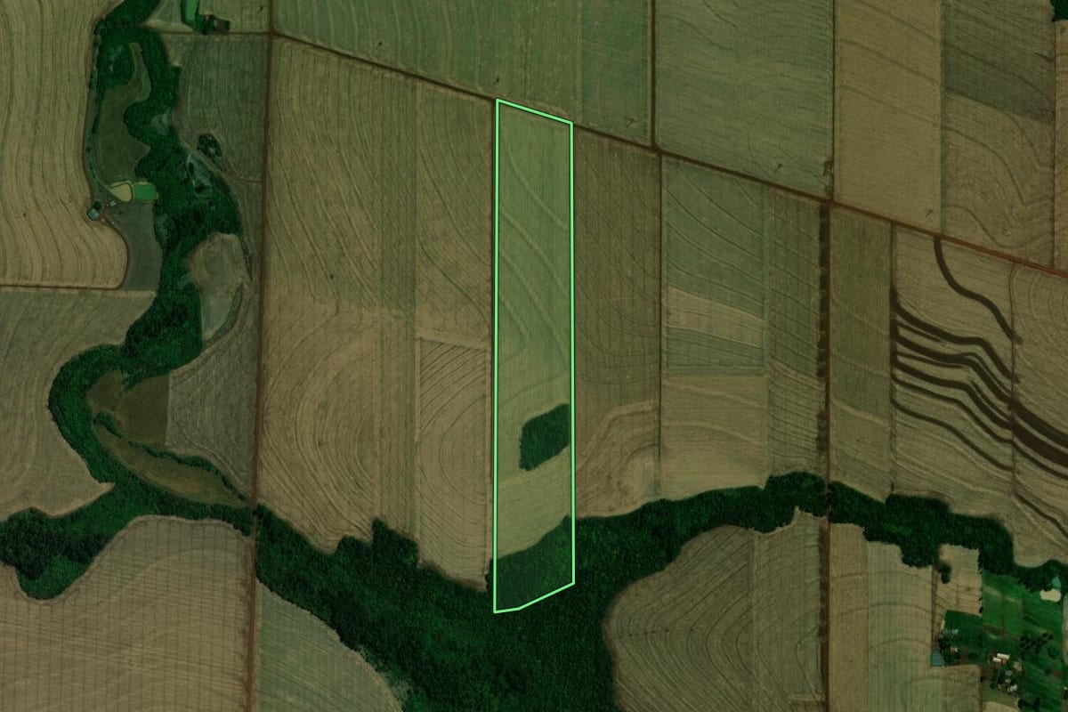 Imagem de satélite do imóvel rural em Palotina (PR), com o contorno declarado no CAR desenhado por cima.