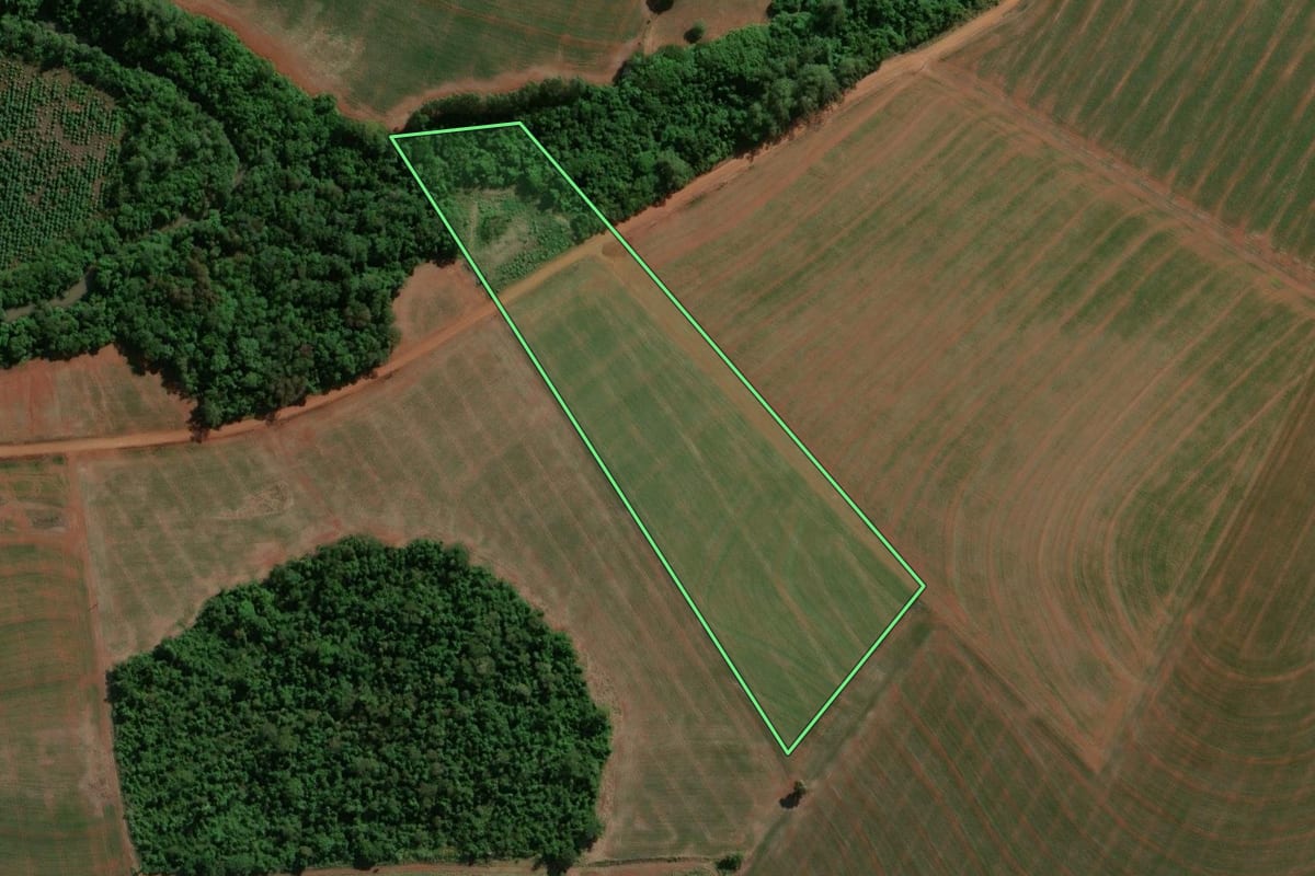 Imagem de satélite do imóvel rural em Palotina (PR), com o contorno declarado no CAR desenhado por cima.