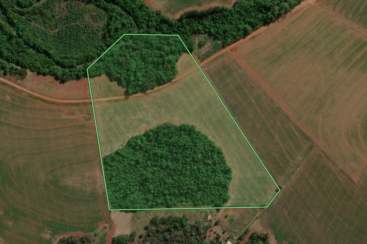 Imagem de satélite do imóvel rural em Palotina (PR), com o contorno declarado no CAR desenhado por cima.