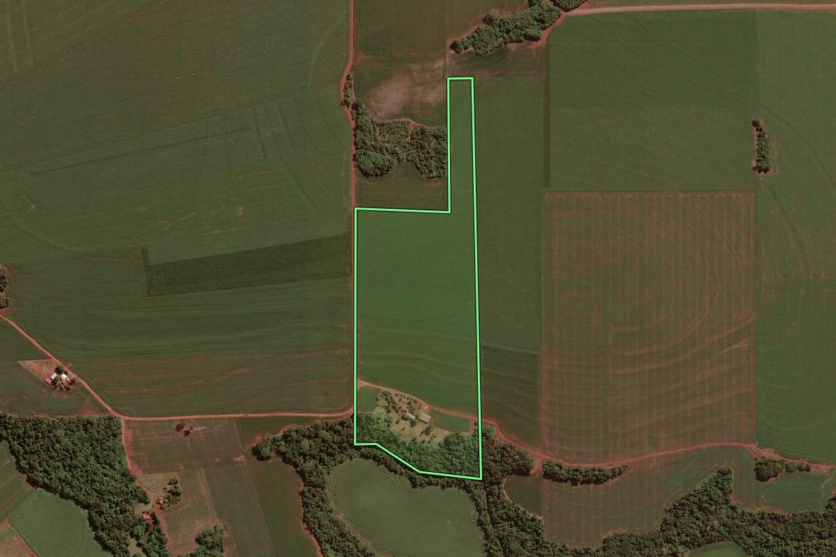 Imagem de satélite do imóvel rural em Palotina (PR), com o contorno declarado no CAR desenhado por cima.