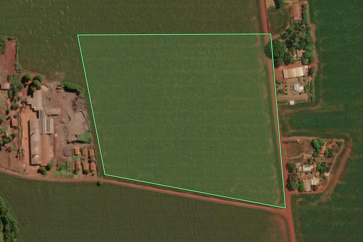 Imagem de satélite do imóvel rural em Palotina (PR), com o contorno declarado no CAR desenhado por cima.