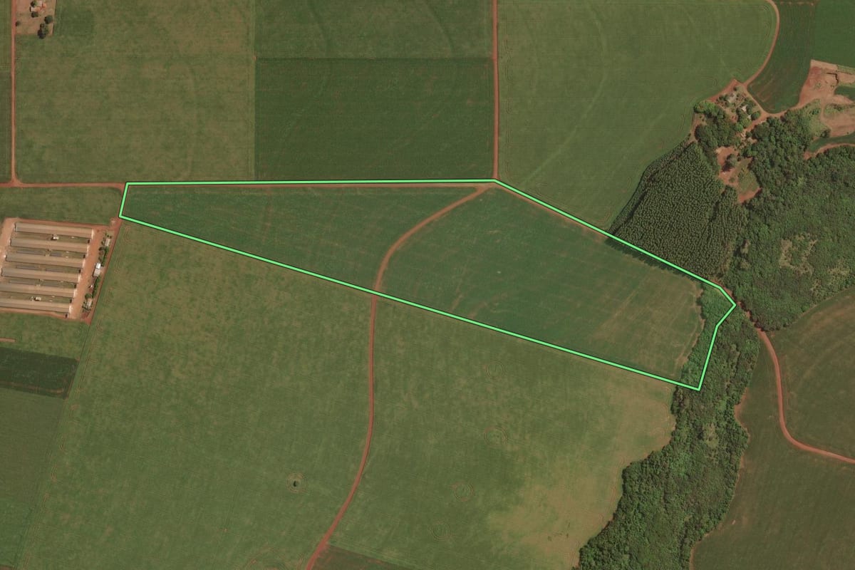 Imagem de satélite do imóvel rural em Palotina (PR), com o contorno declarado no CAR desenhado por cima.