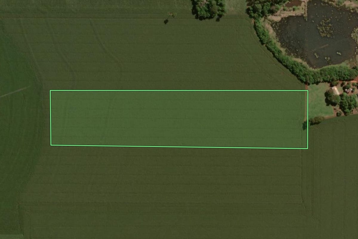 Imagem de satélite do imóvel rural em Palotina (PR), com o contorno declarado no CAR desenhado por cima.