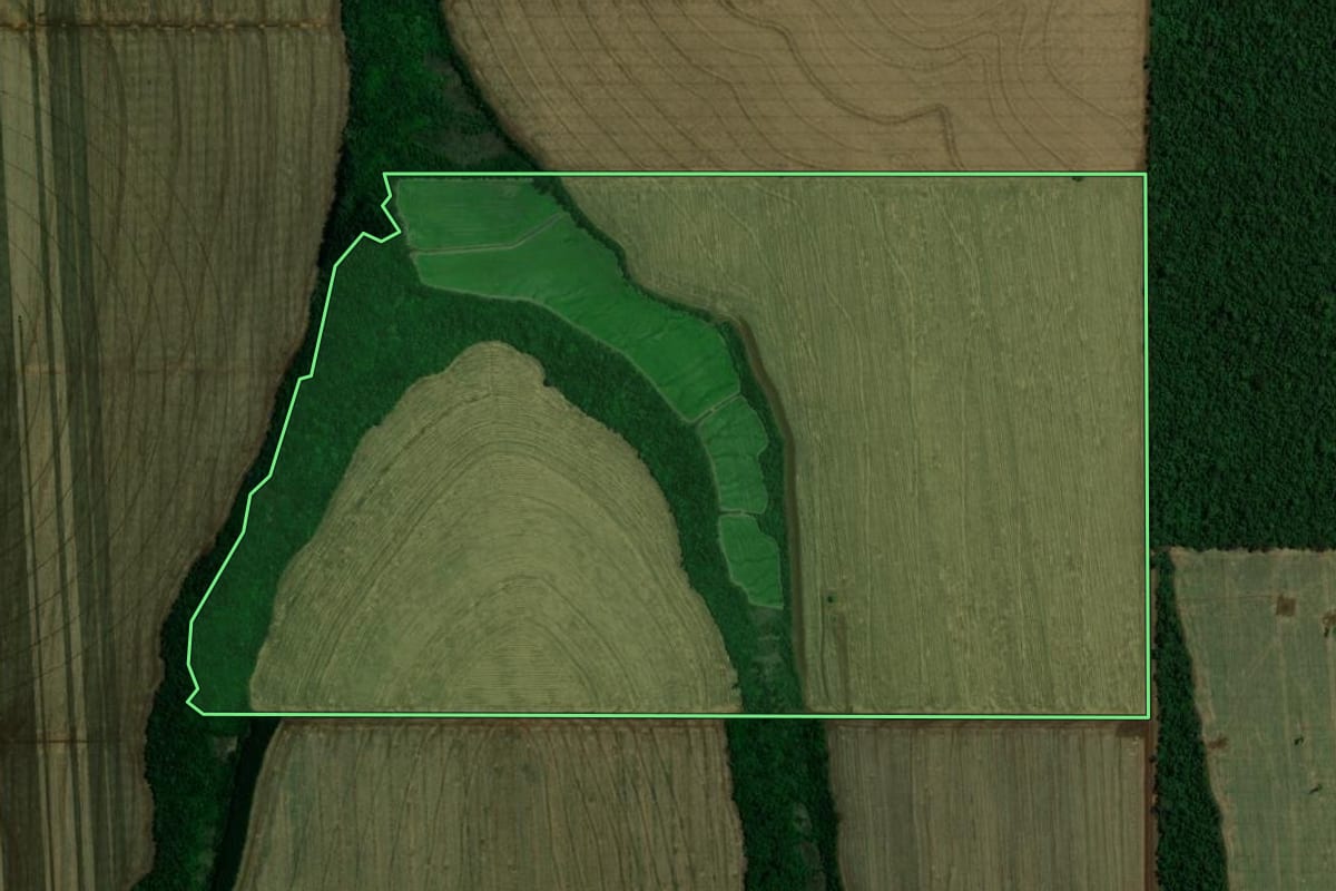 Imagem de satélite do imóvel rural em Palotina (PR), com o contorno declarado no CAR desenhado por cima.