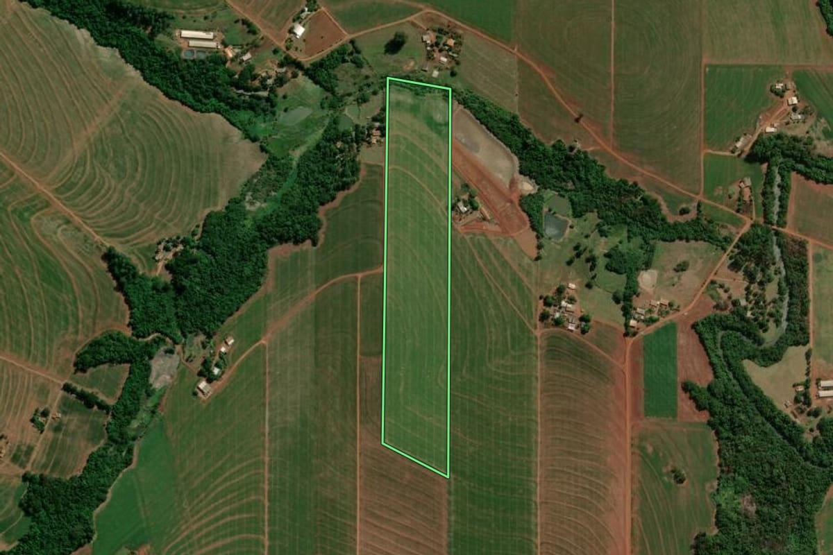 Imagem de satélite do imóvel rural em Palotina (PR), com o contorno declarado no CAR desenhado por cima.