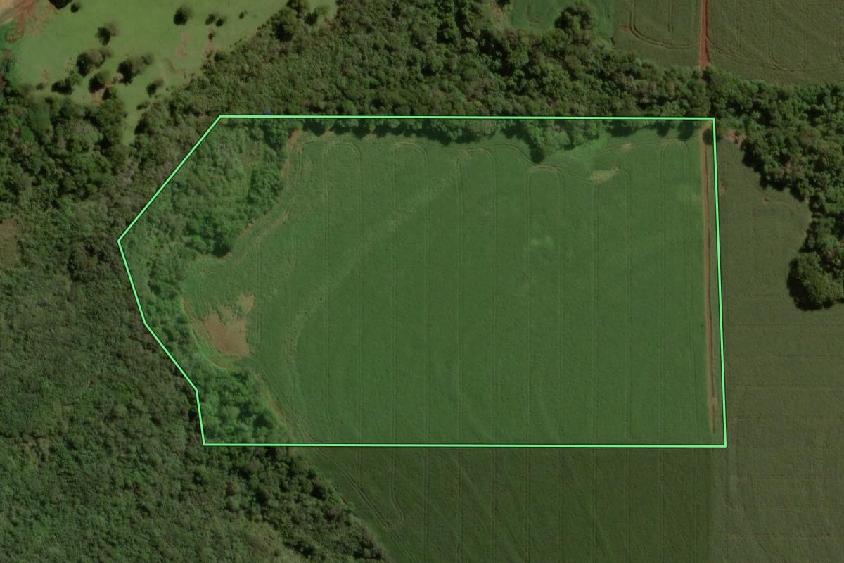 Imagem de satélite do imóvel rural em Palotina (PR), com o contorno declarado no CAR desenhado por cima.