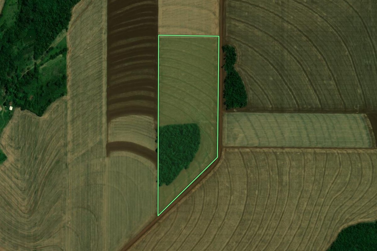 Imagem de satélite do imóvel rural em Palotina (PR), com o contorno declarado no CAR desenhado por cima.