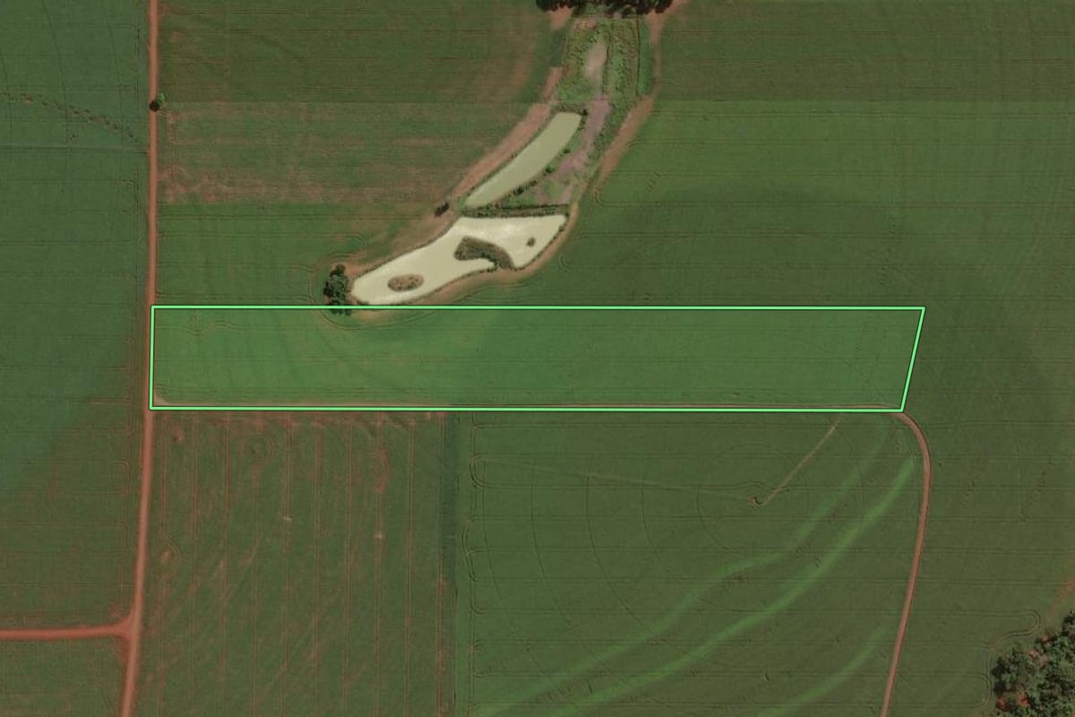 Imagem de satélite do imóvel rural em Palotina (PR), com o contorno declarado no CAR desenhado por cima.