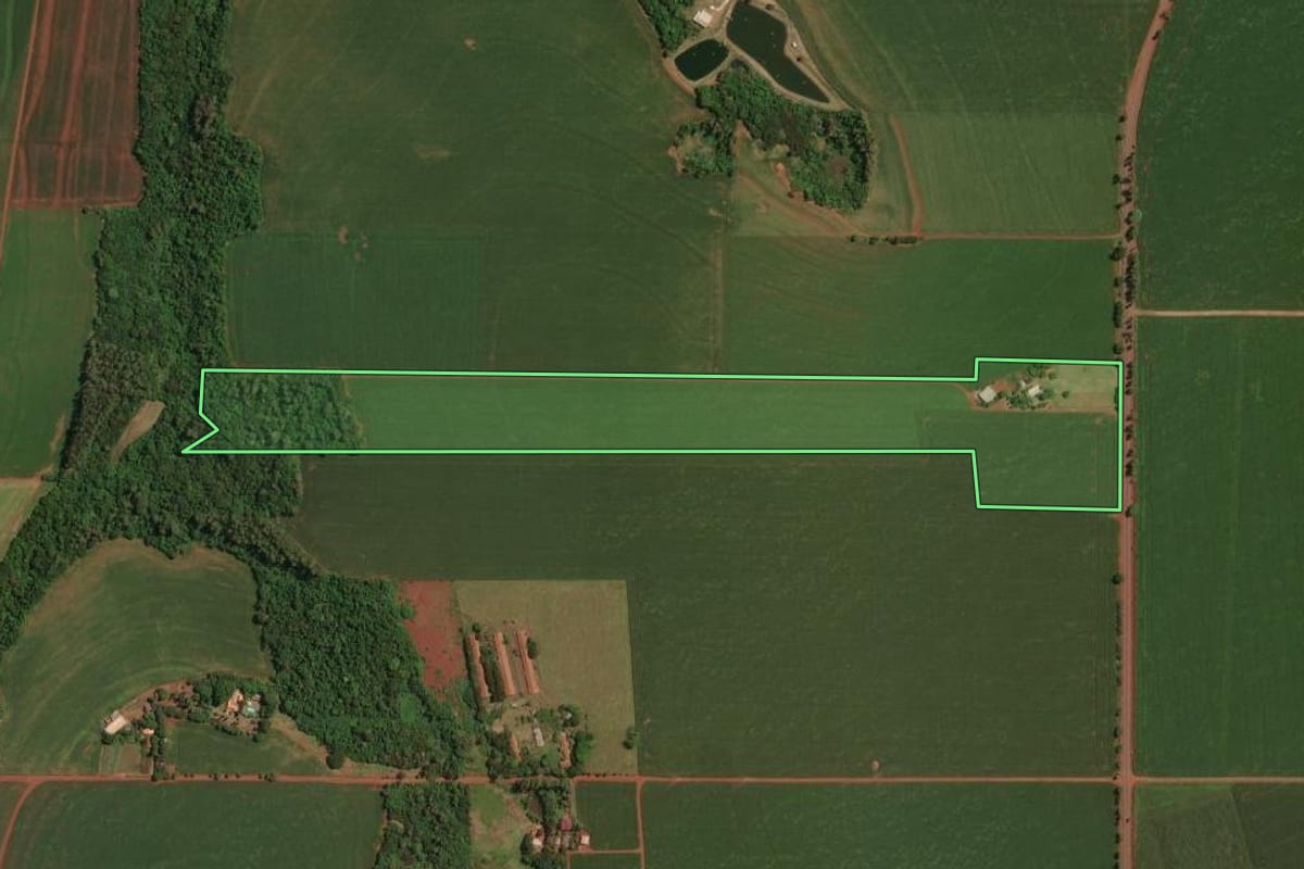 Imagem de satélite do imóvel rural em Palotina (PR), com o contorno declarado no CAR desenhado por cima.