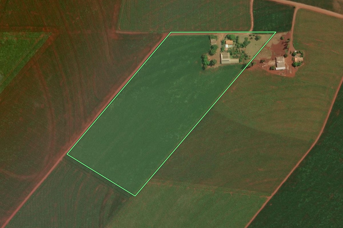 Imagem de satélite do imóvel rural em Palotina (PR), com o contorno declarado no CAR desenhado por cima.