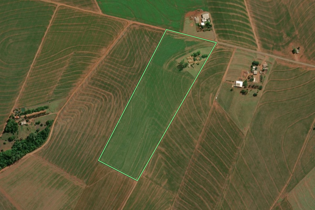 Imagem de satélite do imóvel rural em Palotina (PR), com o contorno declarado no CAR desenhado por cima.