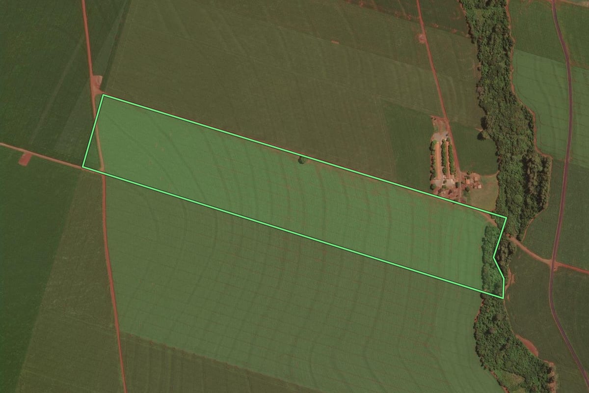 Imagem de satélite do imóvel rural em Palotina (PR), com o contorno declarado no CAR desenhado por cima.