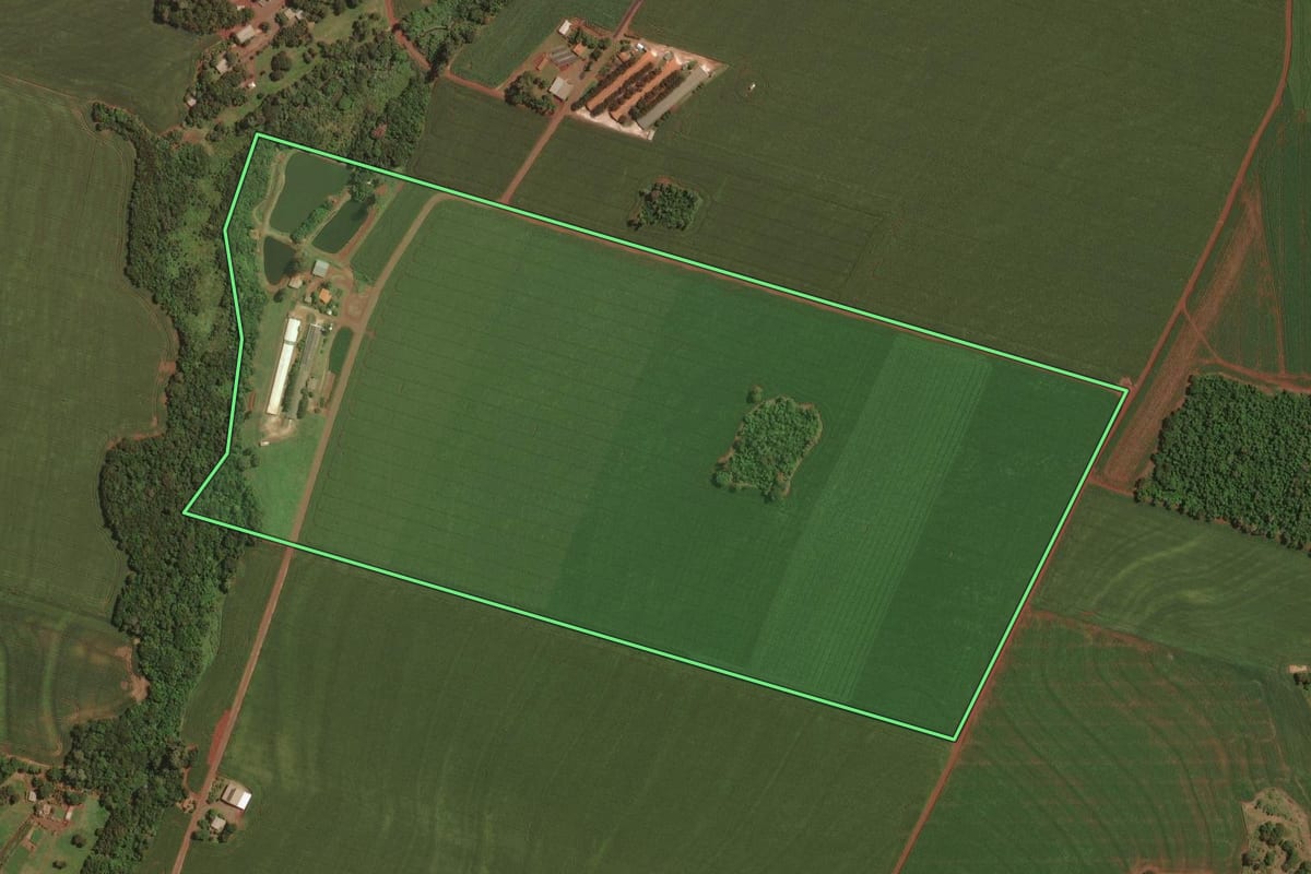 Imagem de satélite do imóvel rural em Palotina (PR), com o contorno declarado no CAR desenhado por cima.