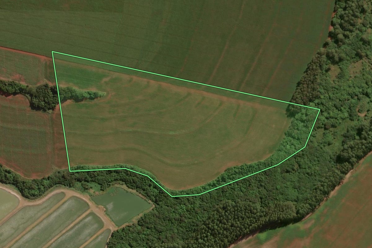 Imagem de satélite do imóvel rural em Palotina (PR), com o contorno declarado no CAR desenhado por cima.