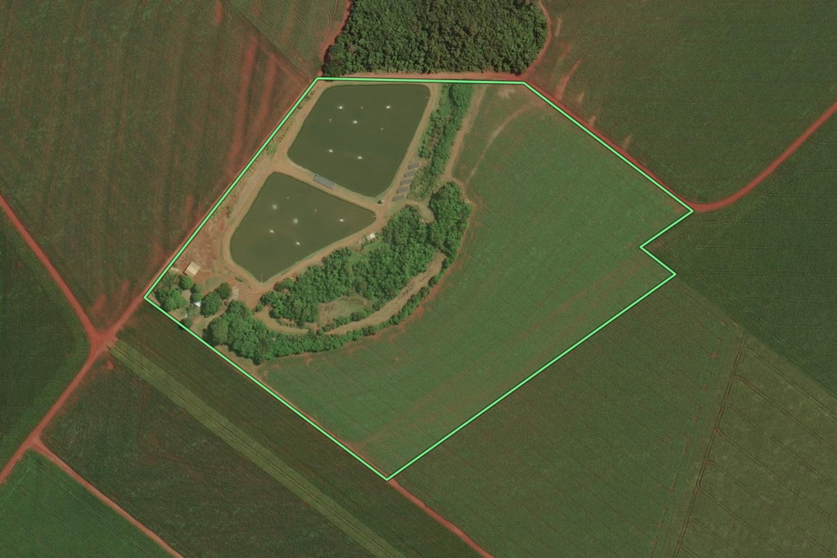 Imagem de satélite do imóvel rural em Palotina (PR), com o contorno declarado no CAR desenhado por cima.
