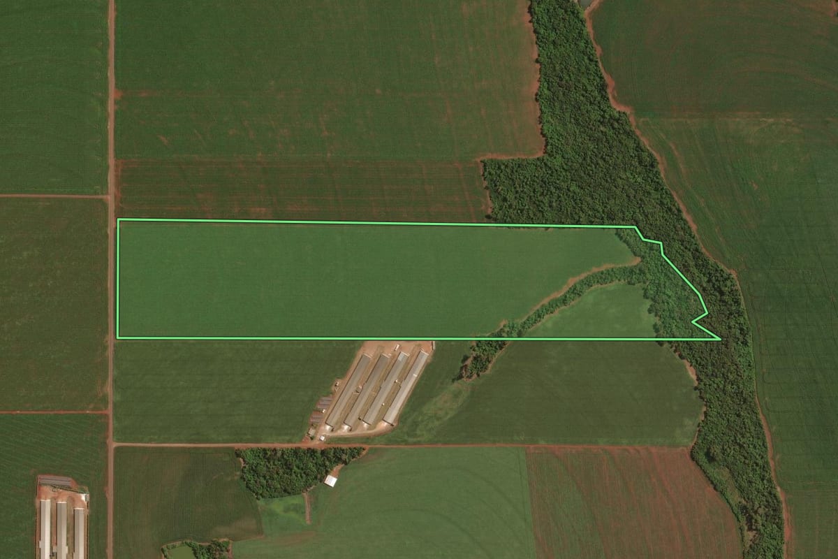 Imagem de satélite do imóvel rural em Palotina (PR), com o contorno declarado no CAR desenhado por cima.