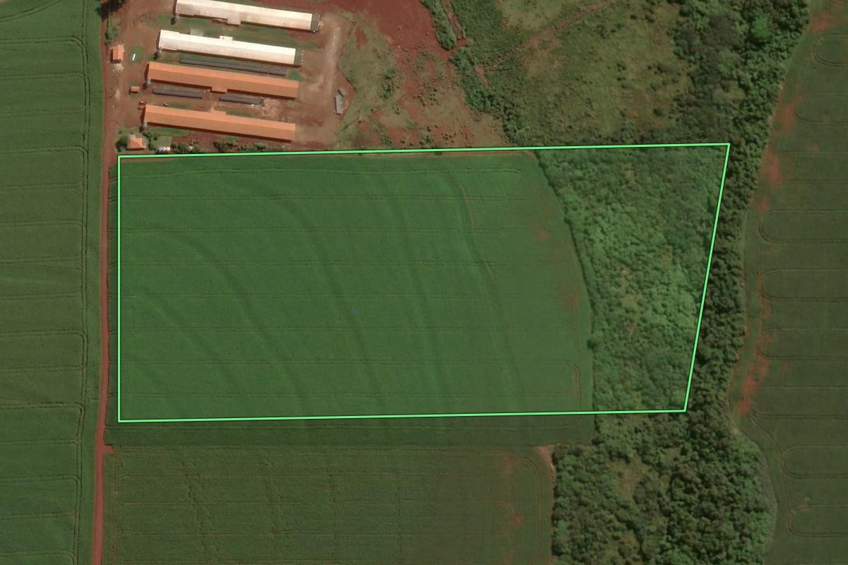 Imagem de satélite do imóvel rural em Palotina (PR), com o contorno declarado no CAR desenhado por cima.
