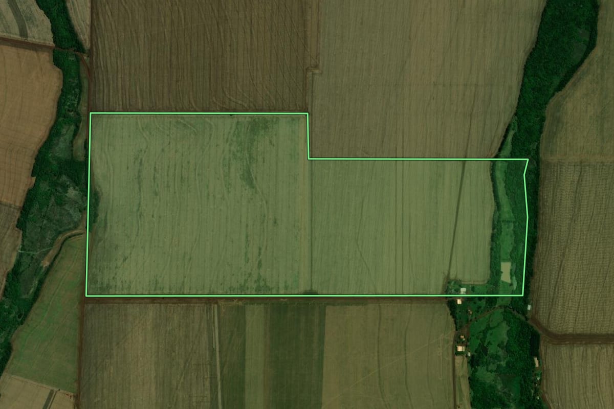 Imagem de satélite do imóvel rural em Palotina (PR), com o contorno declarado no CAR desenhado por cima.