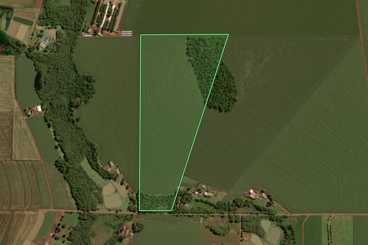 Imagem de satélite do imóvel rural em Palotina (PR), com o contorno declarado no CAR desenhado por cima.