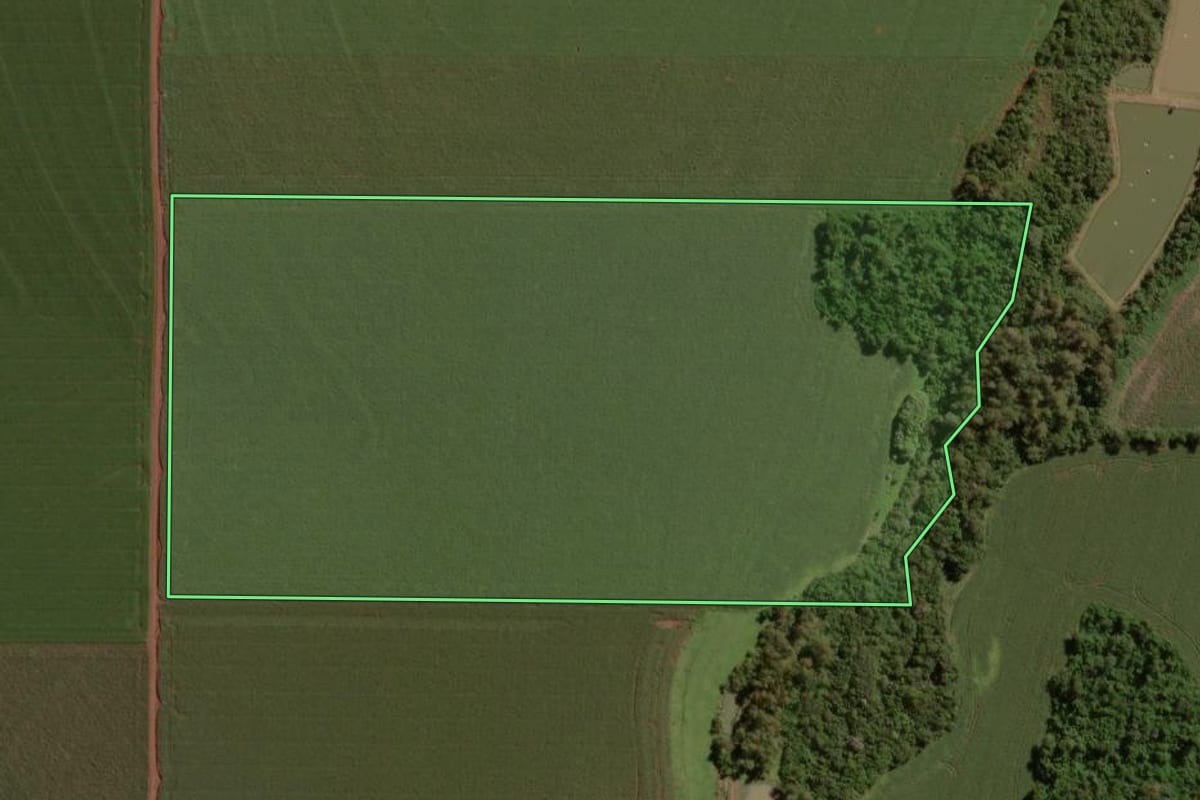 Imagem de satélite do imóvel rural em Palotina (PR), com o contorno declarado no CAR desenhado por cima.