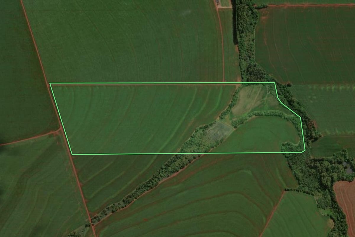 Imagem de satélite do imóvel rural em Palotina (PR), com o contorno declarado no CAR desenhado por cima.