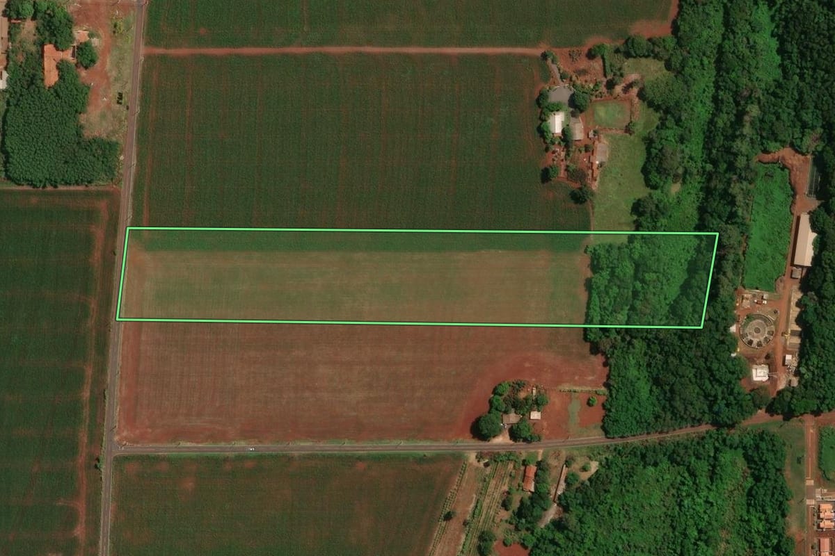 Imagem de satélite do imóvel rural em Palotina (PR), com o contorno declarado no CAR desenhado por cima.