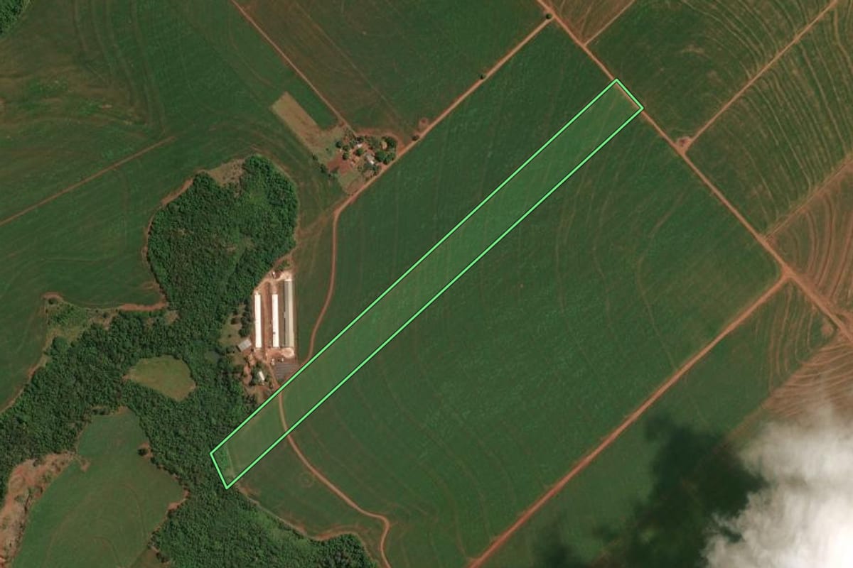 Imagem de satélite do imóvel rural em Palotina (PR), com o contorno declarado no CAR desenhado por cima.