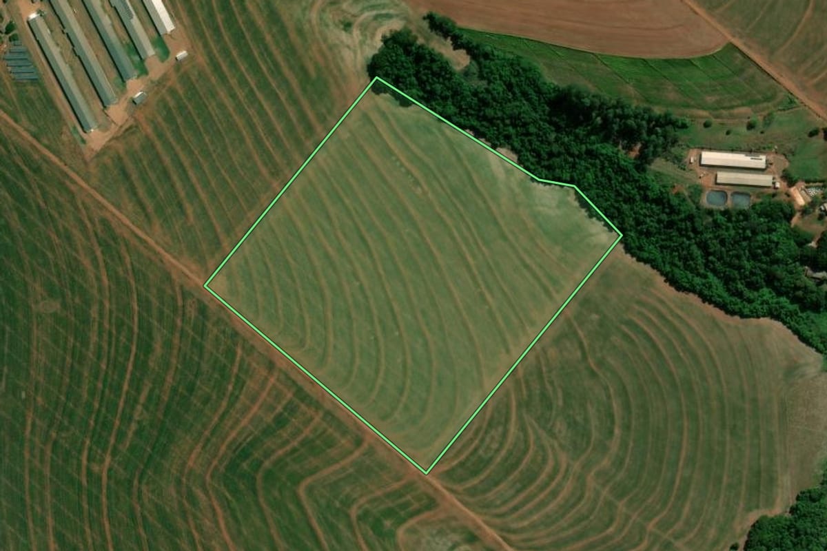 Imagem de satélite do imóvel rural em Palotina (PR), com o contorno declarado no CAR desenhado por cima.