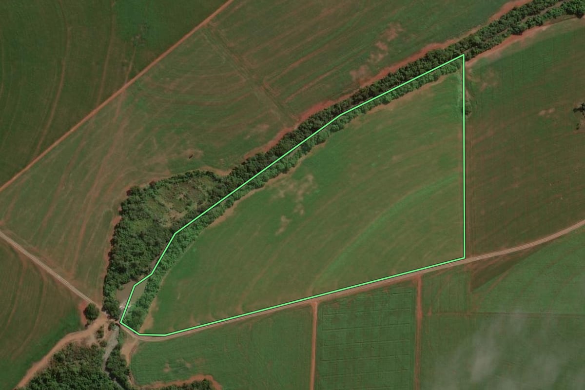 Imagem de satélite do imóvel rural em Palotina (PR), com o contorno declarado no CAR desenhado por cima.