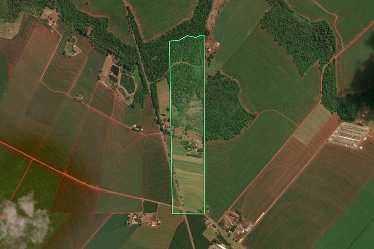 Imagem de satélite do imóvel rural em Palotina (PR), com o contorno declarado no CAR desenhado por cima.