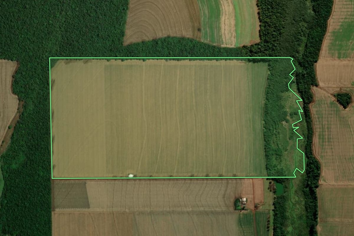 Imagem de satélite do imóvel rural em Palotina (PR), com o contorno declarado no CAR desenhado por cima.