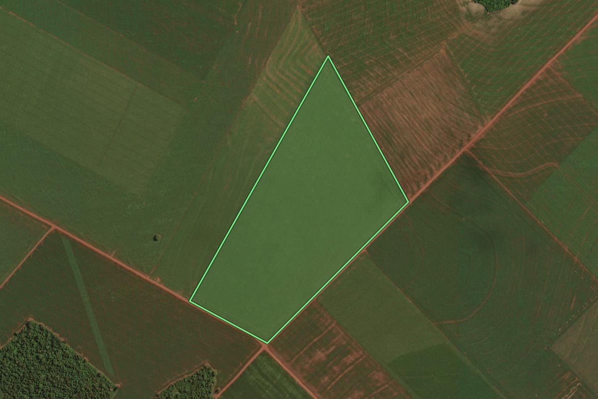 Imagem de satélite do imóvel rural em Palotina (PR), com o contorno declarado no CAR desenhado por cima.