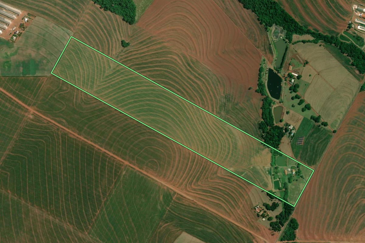 Imagem de satélite do imóvel rural em Palotina (PR), com o contorno declarado no CAR desenhado por cima.