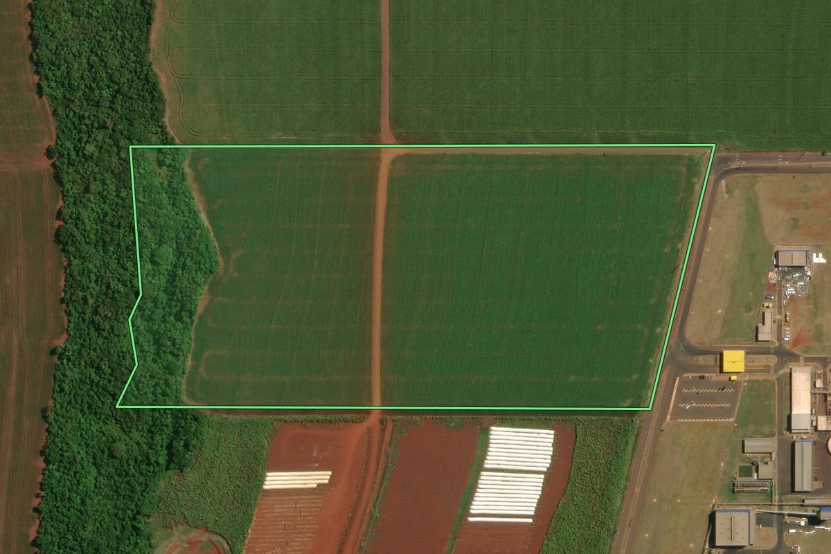Imagem de satélite do imóvel rural em Palotina (PR), com o contorno declarado no CAR desenhado por cima.