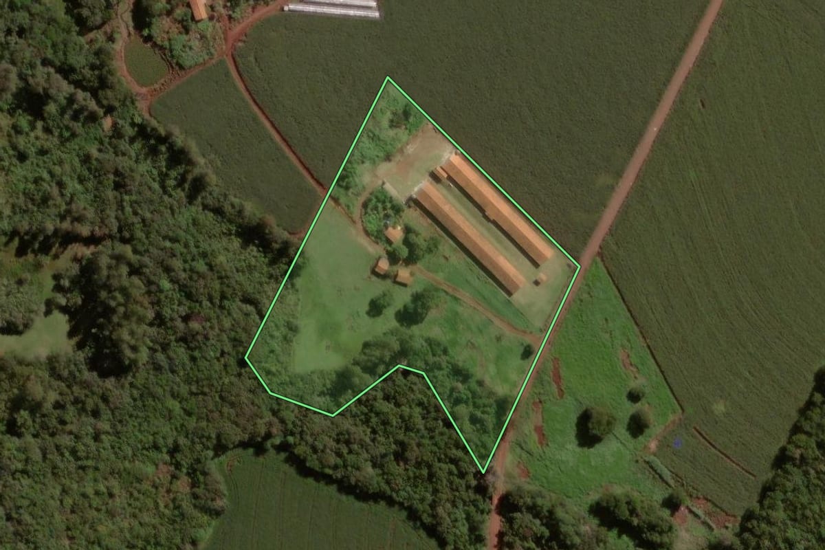 Imagem de satélite do imóvel rural em Palotina (PR), com o contorno declarado no CAR desenhado por cima.