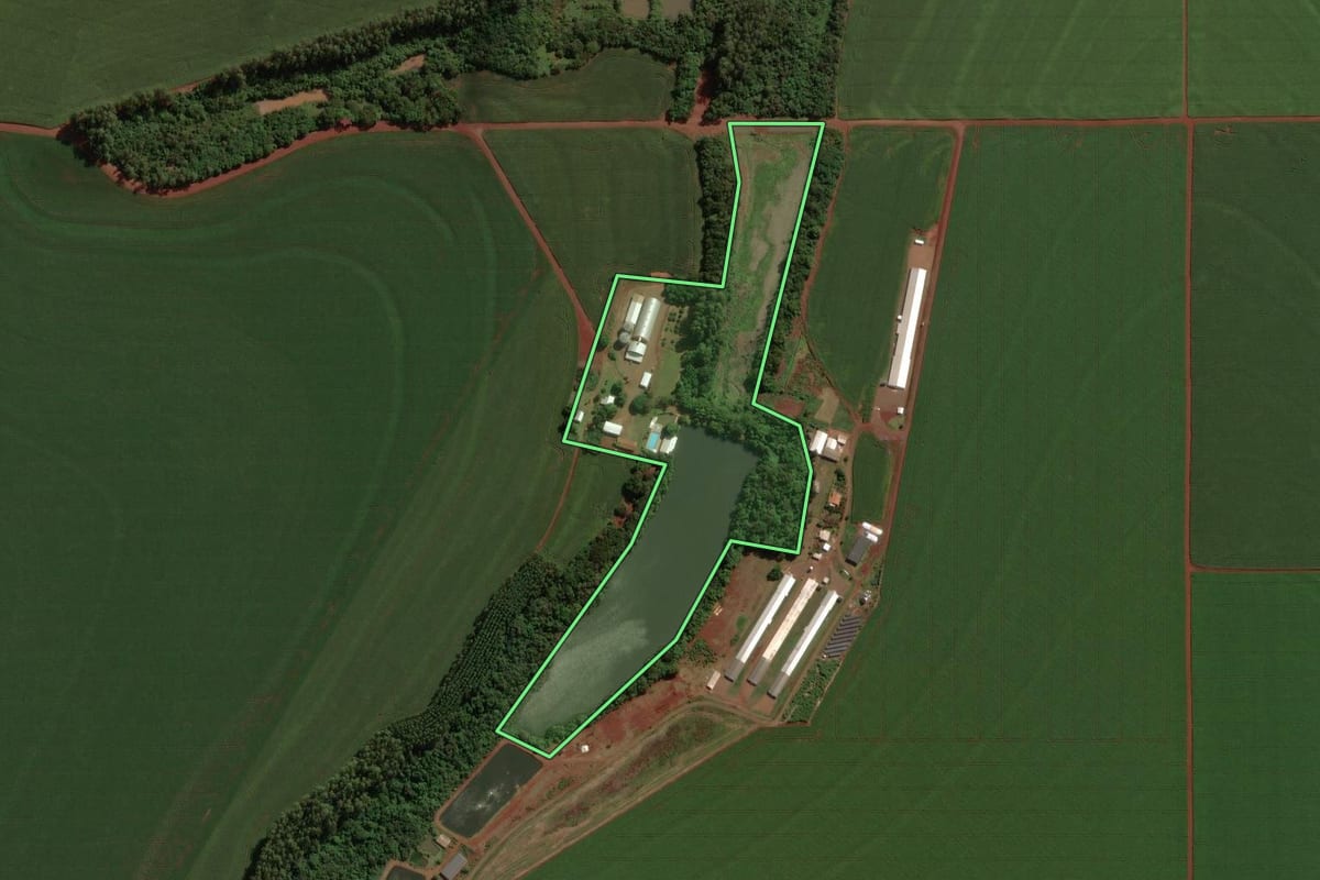 Imagem de satélite do imóvel rural em Palotina (PR), com o contorno declarado no CAR desenhado por cima.