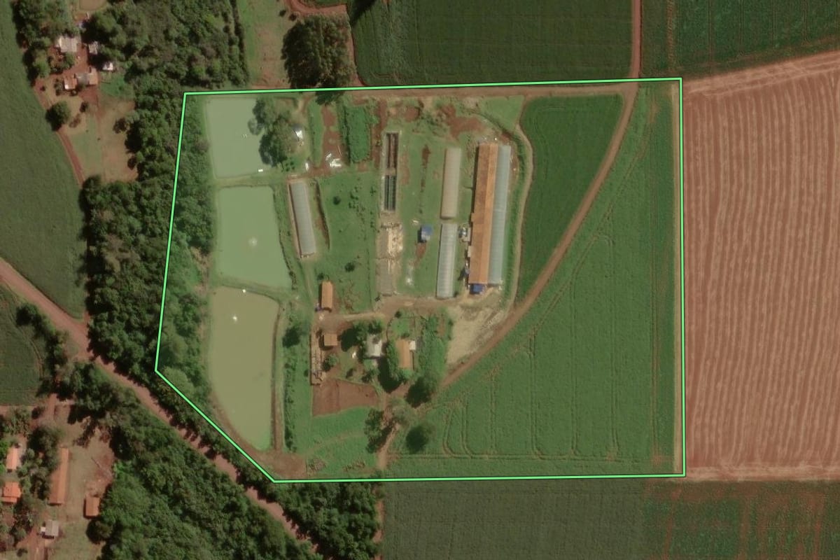 Imagem de satélite do imóvel rural em Palotina (PR), com o contorno declarado no CAR desenhado por cima.