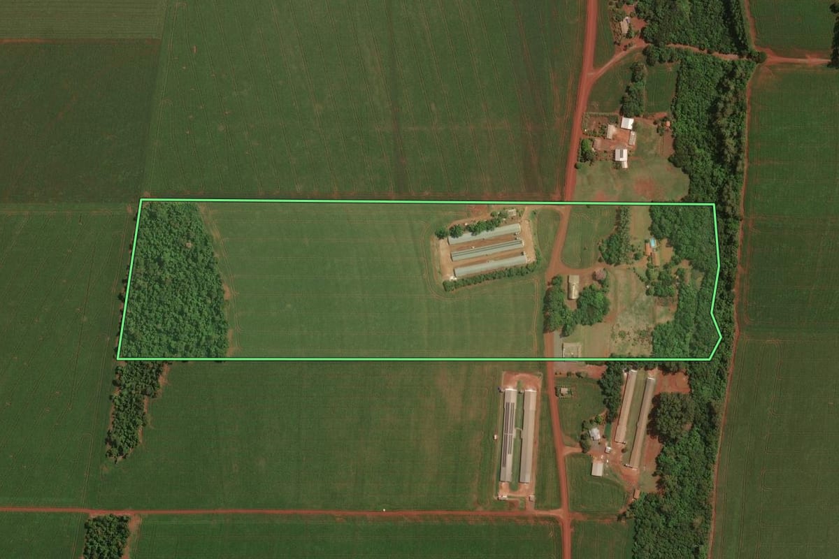Imagem de satélite do imóvel rural em Palotina (PR), com o contorno declarado no CAR desenhado por cima.